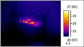 Another Thermal Image of Rodent
