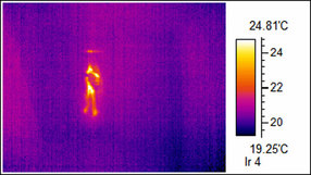 Thermal Image of Rodent